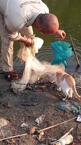 Morning fishing activity captured in Indonesian coastal waters