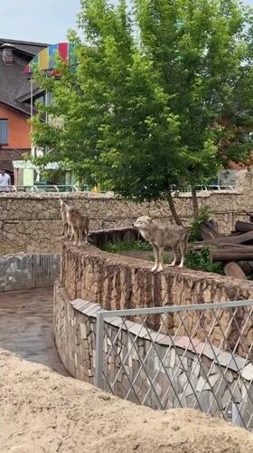 Family zoo visit documented in Izhevsk, Russia