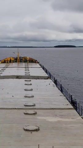 From an elevated position, the camera captures a broad view of a flat, gray expanse with regularly spaced, oval-shaped indentations. This appears to be the deck of a large cargo ship. To the right, a blue railing separates the deck from the water. The water stretches to the horizon, with a distant island or landmass visible. The sky is overcast, with gray clouds covering the view. A few birds fly around the ship.
