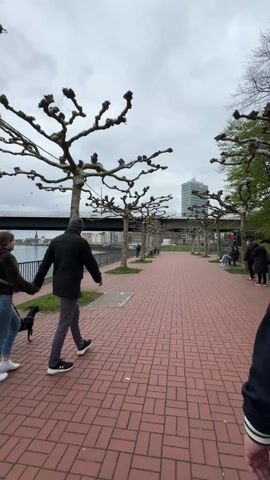 Here is a description of the video:

A couple walks hand-in-hand down a brick-paved path next to a body of water on an overcast day. A small black dog trots alongside them. To their left is a metal fence separating the path from the water, and beyond the water is a city skyline, partially obscured by a bridge in the distance. The path is lined with trees that have been trimmed, and some people can be seen sitting on benches further down the path. The camera follows the couple as they walk, offering a view of their backs. The man is wearing a dark coat and beanie, while the woman is in jeans and a brown jacket.