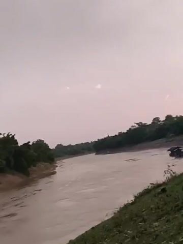 The video shows a wide, muddy river flowing. The riverbanks are lined with dense green trees and vegetation. The sky is overcast with a pale, grayish hue, suggesting either early morning or late evening light. The camera appears to be panning or moving along the river, offering views of the water and the lush green landscape on either side. There are no people or any obvious man-made structures visible in the footage. The overall impression is a serene, natural environment.