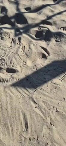 The video shows a close-up view of sand with footprints and shadows cast by an overhead structure. The camera then pans out to reveal a beach with rows of empty wooden structures on either side, leading towards the ocean. The water is blue and calm, with gentle waves. The sky is clear and blue. The scene suggests an empty beach, possibly before or after a busy period.