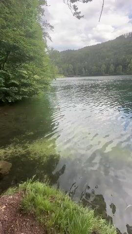 The video shows a body of water with ripples and reflections. The water is clear enough to see the bottom in some areas. The shore is covered in grass and some trees are visible on the left side of the frame. In the background, there is a large hill covered in trees, and the sky is cloudy. The overall scene is a natural landscape.