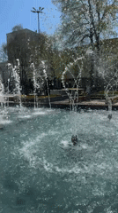 Spring day activities captured in Montana, Bulgaria park area