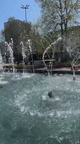 Spring day activities captured in Montana, Bulgaria park area