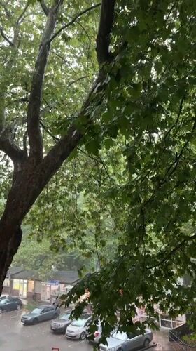 Flooding outside, pizza inside: a rainy afternoon in Varna