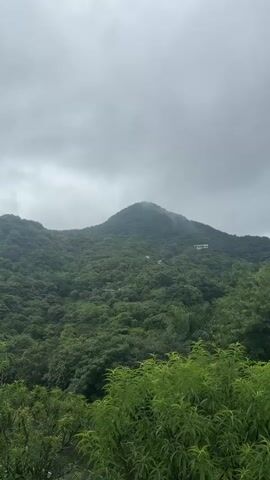 The video captures a panoramic view of a lush green mountainside under a cloudy sky. In the foreground, vibrant green foliage fills the bottom of the frame. As the camera pans across the mountainside, several white buildings are visible nestled among the dense trees. The terrain is uneven and covered with thick vegetation, suggesting a natural, undeveloped area. The sky is overcast, with gray clouds obscuring the sun, lending a subdued and possibly damp atmosphere to the scene. No people or animals are visible in the video.