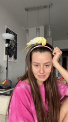 Artist paints with cockatiel companion perched on head in Krasnoyarsk