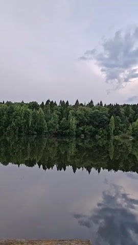 This is a vertical video clip showcasing a tranquil natural scene. The foreground features a portion of a wooden structure, possibly a dock or pier, made of weathered planks. The main subject of the video is a body of calm water, perfectly reflecting the dense forest that lines the opposite bank. The forest is lush and green, a mix of deciduous and coniferous trees, creating a rich, textured backdrop. The reflection on the water is almost as sharp as the actual scene, emphasizing the stillness of the environment.

The sky above is overcast with soft, muted light, suggesting either early morning, late evening, or a generally cloudy day. There are some scattered clouds, particularly towards the right side of the frame, which are also reflected in the water. The overall mood is peaceful and serene, evoking a sense of quietude and natural beauty. There are no people or animals visible in the clip.

The location is identified as Mar'ino, Russia. The time of day appears to be either dawn or dusk, given the soft, diffused light and the calm atmosphere. The weather seems to be mild and still, conducive to a clear reflection on the water. There is no visible text within the video.