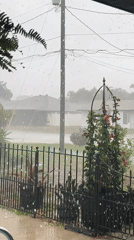 Severe hailstorm with strong winds hits Cape Coral residential areas