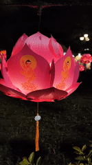 Buddhist festival celebrates with lotus lanterns, monks in Da Lat