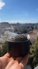 Morning moments captured across Budva, Montenegro