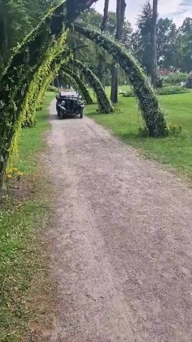 An outdoor scene shows a vintage, dark-colored convertible car with two occupants driving down a gravel path. The path is lined on both sides by arched trellises covered in green foliage, forming a tunnel-like effect. The car is moving away from the camera and appears to be entering or passing through the arched pathway. The area beyond the arches is a grassy park with trees and some distant buildings. The person in the passenger seat is waving.