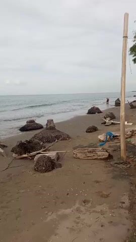 The video shows a wide shot of a beach with overcast skies. The sand is damp and littered with driftwood, seaweed, and some rocks. The ocean waves are gently rolling onto the shore. In the distance, there are two figures walking near the water. There are no other discernable activities or interactions happening in the video.