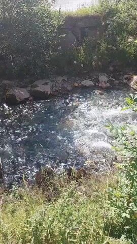 The video shows a flowing body of water, likely a river or stream, with visible ripples and small rapids. The water is surrounded by vegetation, including green grass and bushes. Large rocks are present along the banks of the watercourse. Sunlight is casting shadows on the water and the surrounding area, indicating an outdoor setting during the daytime. The perspective is from a slightly elevated position, looking down at the water.