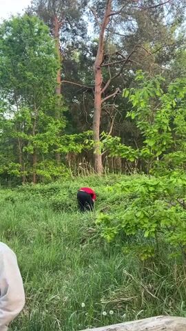 The video shows a person dressed in black trousers and a red shirt, bending over in tall grass near a forest. The person appears to be searching for something in the grass. The environment consists of a grassy area with trees surrounding it. Another person wearing a white shirt can be seen in the foreground.