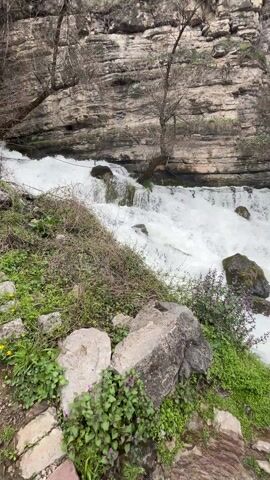 The video displays a rapidly flowing waterfall tumbling over rock formations. The water is white and foamy, indicating strong currents. The surrounding environment is rocky, with patches of green vegetation including grass and some small flowering plants growing along the banks. A layer of textured rock forms the backdrop to the waterfall. Bare trees are also present. The video is stable, providing a clear view of the natural scene.