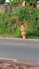 Traditional striped costume spotted in Nkpor, Nigeria