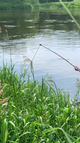 A fishing net is lowered into the water from a riverbank covered in tall green grass and some yellow wildflowers. The water is rippled and a fishing rod is visible.