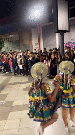 Traditional Andean cultural parade draws crowds in Arica, Chile