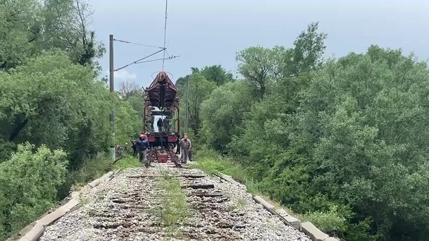 The video captures a group of workers attending to a specialized rail vehicle on a railway track. The scene is set in a green, tree-lined environment, suggesting a rural or semi-rural area in Yardzhilovtsi, Bulgaria. The sky is overcast.

The primary subject is a distinctive, industrial-looking rail vehicle, possibly a maintenance or construction machine, positioned centrally on the tracks. It features a sturdy, open-frame structure with an elevated mast or boom at the top. Several individuals, dressed in work attire, some with hard hats and high-visibility clothing, are seen around and on the vehicle. They appear to be actively working, with some individuals moving alongside the vehicle, seemingly pushing or guiding it along the tracks, or performing operational tasks.

The railway tracks are visible with gravel ballast and some patches of grass and small plants growing between the sleepers, indicating the line might be less frequently used or currently under maintenance. Overhead electrification lines and support poles run parallel to the tracks. The surrounding landscape is dominated by dense, green trees and bushes on both sides of the railway line. The activity appears to be a focused work operation during daytime. No visible text is present in the video.