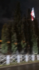 Georgian flag waves among evergreens in Tbilisi evening