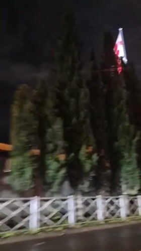 Georgian flag waves among evergreens in Tbilisi evening
