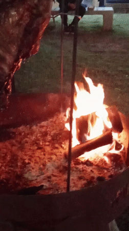 Open-fire cooking observed in Santiago, Chile