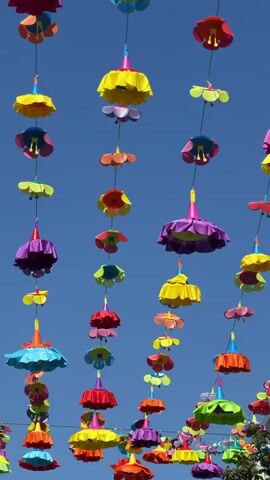 This video shows a low-angle shot of a clear blue sky with many colorful, umbrella-shaped decorations hanging from above. The decorations are arranged in vertical strands and vary in size and color, with hues of red, orange, yellow, green, blue, purple, and pink. They appear to be made of plastic or a similar material and are shaped like upside-down flowers or small umbrellas with ruffled edges. Some strands have a single larger decoration, while others have multiple smaller ones interspersed. The overall impression is festive and decorative, suggesting an outdoor celebration or event. No people are visible in the frame, and the focus is entirely on the suspended decorations against the sky.