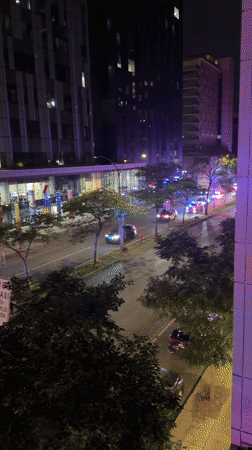 Police activity on a Montreal street, plus a sleepy dachshund puppy