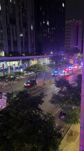 Police activity on a Montreal street, plus a sleepy dachshund puppy