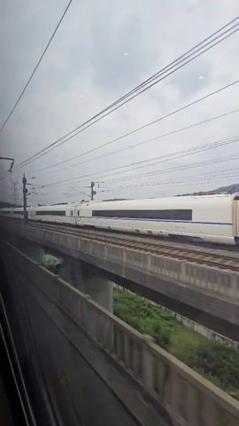 A high-speed train travels on an elevated track under a cloudy sky. The train is white with a blue stripe and consists of multiple cars. The track is supported by concrete pillars. The view is from the window of another moving train, with parts of its interior visible in the foreground. Overhead power lines are present. Lush green vegetation is visible below the elevated track.