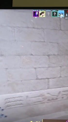 Gamer documents late-night Counter-Strike sessions with cats in Chongqing