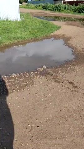 The video shows a dirt road with several large puddles reflecting the sky. The road is surrounded by grassy areas and some trees in the distance. Tire tracks are visible in the dirt. The camera is moving forward along the road. The audio contains a voice speaking in Russian, which translates to "I captured my cat and the traces of the crime."