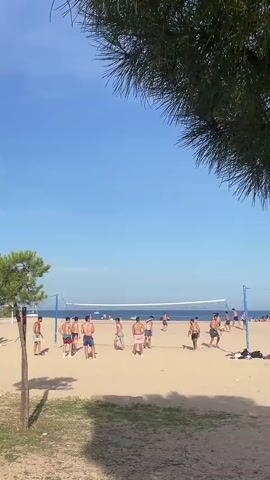 A group of young men are playing beach volleyball on a sandy beach under a clear blue sky. The camera is positioned behind a pine tree, with its branches partially obscuring the top of the frame. In the foreground, the sandy beach extends to the horizon, where the ocean is visible. A volleyball net is set up across the middle of the beach, with two teams of players on either side. The players are all wearing swim trunks and are engaged in the game, with some in the process of hitting or receiving the ball. The overall scene depicts a sunny day at the beach with a group of friends enjoying a recreational activity.