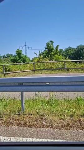 The video shows a view from inside a vehicle, looking out towards a highway overpass. A metal guardrail is visible in the foreground, with lush green vegetation and trees beyond. A red and metal railing lines the edge of the overpass, with a power line tower and more trees visible in the distance against a clear blue sky. The vehicle appears to be moving, as indicated by the slight blur and the shifting perspective. No people or specific actions are clearly discernible.