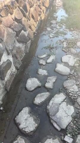 This is a high-angle, slightly tilted, medium shot of a narrow, shallow stream or channel. The stream runs roughly north-south, with the camera looking south. The left bank of the stream is lined with a low stone wall, constructed of large, irregular, rough-hewn stones. A metal railing runs along the top of this wall, and beyond the railing is a paved walkway. The right bank of the stream is covered with grass and weeds, and also has scattered rocks. The stream bed itself is a mix of mud, debris, and rocks. Some of the rocks are large, flat, and light gray, and others are smaller and darker. There are also patches of green aquatic plants and debris floating on the surface of the water. The water is dark and murky. In the distance, the stream disappears into a hazy background where buildings and trees are faintly visible. Sunlight is streaming in from the right side of the frame, creating a lens flare effect and casting a warm glow on the scene. There are no people visible in the immediate foreground or mid-ground. The overall impression is of a somewhat neglected urban waterway.