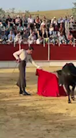 A daytime video captures a bullfight in a sandy arena within a bullring in San José del Valle, Spain. A matador, dressed in a light-colored shirt and dark trousers, engages with a black bull. The bull wears a distinctive red and yellow harness across its back. The matador skillfully uses a large red cape (muleta) to direct the bull, executing several passes where the bull charges and turns in response to the cape's movements.

The bull appears to be a younger animal or part of a less formal event due to the harness, though the matador is on foot, performing traditional passes. Surrounding the arena are tiered spectator stands, filled with numerous people observing the event. The bullring's fence is a solid reddish-brown color. The weather appears sunny and clear, suggesting an outdoor event under bright daylight. The audible cheers from the crowd indicate an engaged and lively atmosphere.