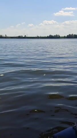 The video shows a view from a boat on a lake. The water is calm with gentle ripples. The sky is blue with scattered white clouds. In the distance, there is a tree line and some power lines. The camera is focused on the water and the horizon.