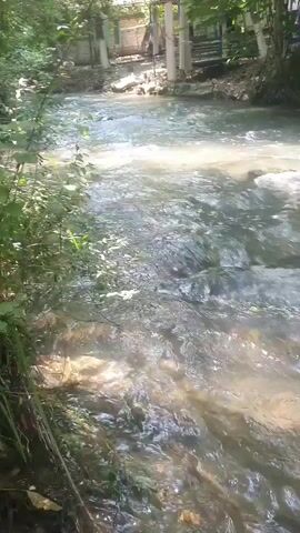 A close-up shot of a stream flowing over rocks in a wooded area. Sunlight glints off the water's surface. Lush green foliage lines the left bank. In the background, a fence and some structures are visible, suggesting a populated area nearby. The water appears clear and shallow, with a noticeable current. The overall impression is one of a peaceful natural setting.