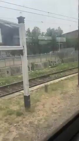 A train is pulling away from the Gerli train station on a cloudy day. The view from the train window shows a view of the train tracks, a retaining wall, some grassy areas, and a few trees. There is some trash lying near the wall. There is a large sign that reads “Gerli.”