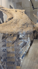 Stone lion sculpture and movie props displayed in Lyon