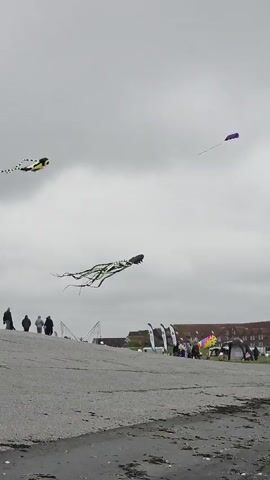 The video shows a beach scene with a kite festival in the background. Numerous kites, including one long black one resembling a serpent, are flying in the overcast sky. A line of colorful kites shaped like marine life, like sharks and manta rays, is also flying. In the background, there are buildings and tents suggesting a festival or event. People are walking around on the ground. The foreground consists of a paved area, transitioning into a sandy, wet beach.