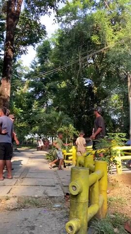 The video shows a park-like environment with lush trees and greenery. In the foreground, a yellow fence-like structure is visible. A person wearing a dark t-shirt and a hat is standing and looking upwards. A younger person in a light-colored t-shirt and shorts is standing and pointing in the same direction. In the background, several other people are scattered throughout the park, some sitting and others walking. The scene appears to be a public space with paved walkways and natural landscaping. The lighting suggests it is daytime, with sunlight filtering through the trees.