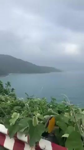 The video shows a person on a red Suzuki motorcycle, looking out at a view of the ocean and a mountainous coastline. The day is overcast and cloudy. The motorcycle is on a paved road with a striped red and white guardrail. There is green foliage between the road and the view. Cars can be seen driving on the road ahead.