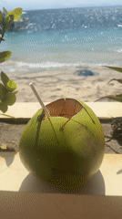 Fresh coconut drink with a Nusa Penida beach view