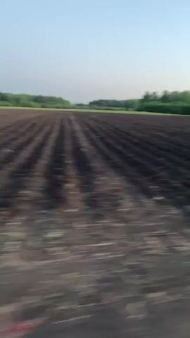 The video captures a rapidly moving perspective across a vast, open landscape, likely from a vehicle.

At the beginning, a dark, tilled field with visible rows stretches towards a distant line of green trees under a pale blue sky. As the video progresses, the camera's speed increases, creating extreme motion blur across the foreground. The sky transitions to a vibrant orange and yellow gradient, indicating either sunrise or sunset. The ground, blurred into a dark, textured expanse, appears vast and flat, possibly a large field, steppe, or even a frozen surface given the motion and low light. No people or specific objects are clearly discernible due to the high speed and blur in the later parts of the video. No text is visible. The scene evokes a sense of rapid transit through an expansive rural environment in the early morning or late evening.
