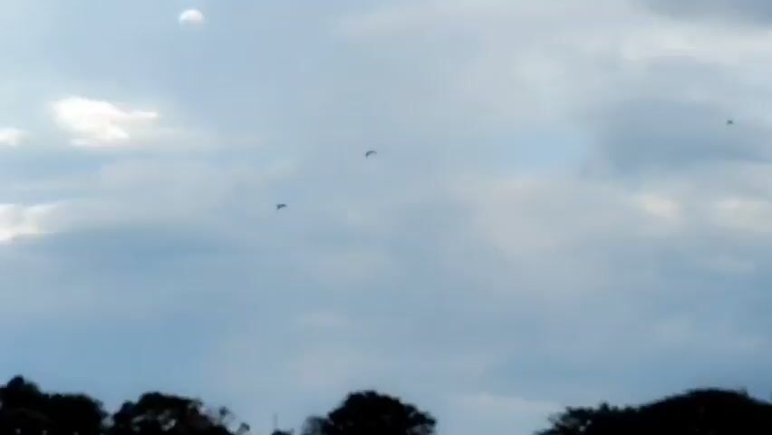 The video shows a cloudy sky with several objects flying. The first object, appearing around 00:00:00, is small and dark. Another object, similar in appearance, flies to the right. At 00:00:01, a jet fighter with delta wings appears to be banking. Another small, dark object is visible to the left of the jet. At 00:00:02, the jet fighter is the main focus, appearing to fly towards the viewer. By 00:00:03, the jet is no longer clearly visible, and a blurry, dark object is seen in the distance. At 00:00:04, two birds, one appearing to be a seagull and the other a darker bird, are seen in flight.