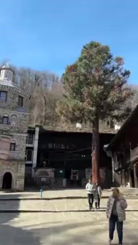 The video shows the inner courtyard of a multi-story building, possibly a monastery or historic site. The building has a rustic design with stone walls and wooden balconies and staircases. Several people are visible, including individuals walking through the courtyard and one sitting on a bench. A tall tree is positioned in the center of the courtyard, adding to the serene atmosphere. The sky is clear and blue, suggesting a sunny day. The video pans up, revealing more of the building's structure and details.