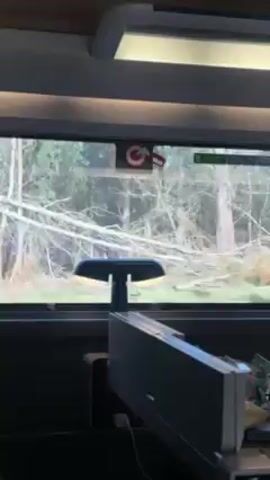 The camera is located inside a moving train. The train travels through a wooded area with trees visible through the window. A small table is in front of the window. A lamp is on the table. The lighting in the train car is provided by long, rectangular lights on the ceiling.